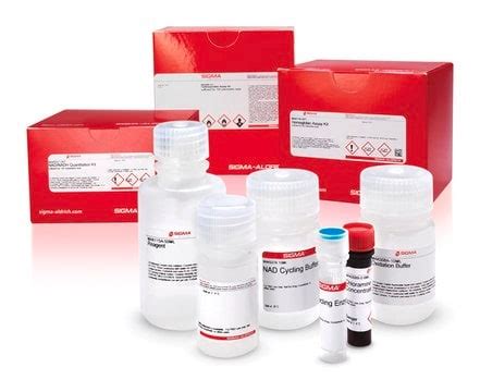 Urea Assay Kit sufficient for 100 colorimetric tests 